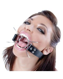 Mordaça Fetish Fantasy Extreme Spider Gag 1