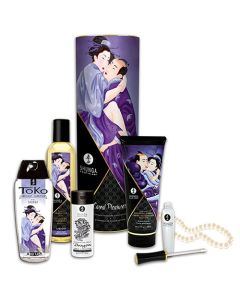 Kit Shunga Prazeres Carnais Ultimate