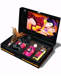 Kit Shunga Paixão e Carinho